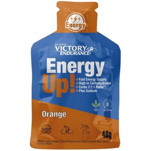 WEIDER Victory Endurance Energy Up 1 Gel Da 40 Grammi Arancia