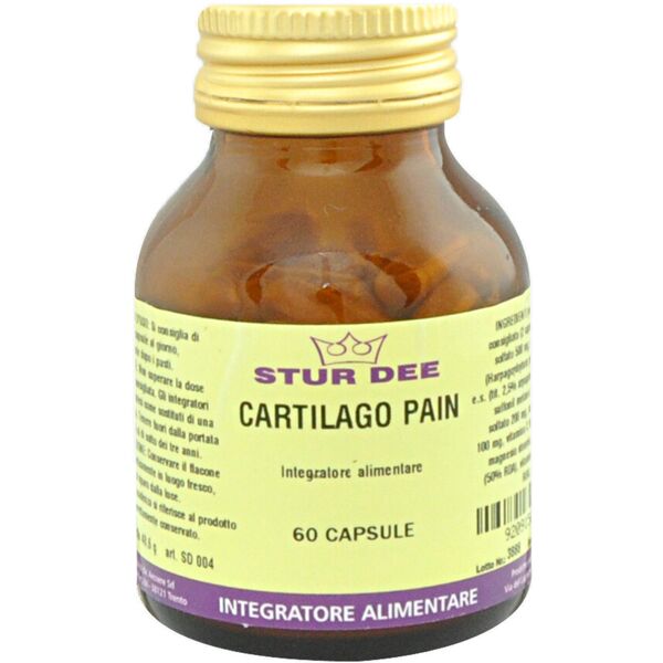 stur dee cartilago pain 60 capsule