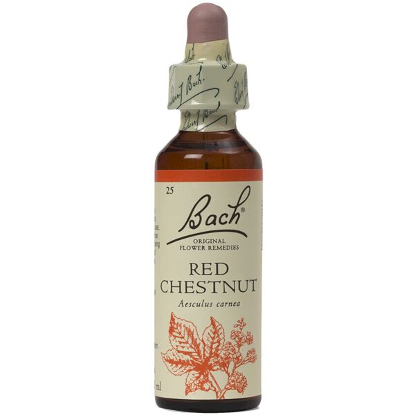 schwabe bach red chestnut 20 ml