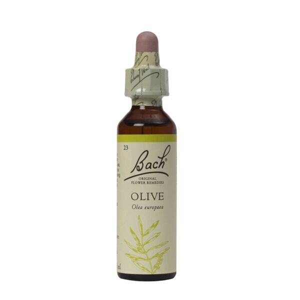 schwabe bach olive 20 ml