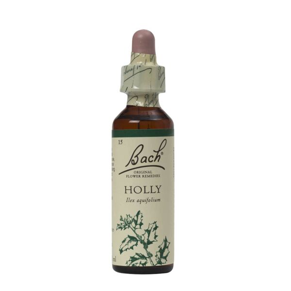 schwabe bach holly 20 ml