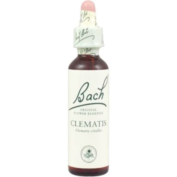 schwabe bach clematis 30ml