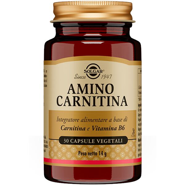 solgar amino carnitina 30 capsule vegetali