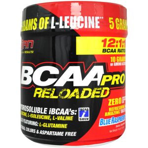 San Nutrition Bcaa Pro Reloaded 456 Grammi Fragola Kiwi