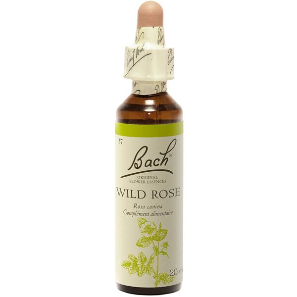 schwabe bach wild rose 20 ml