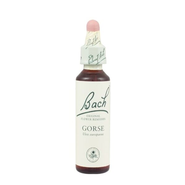 schwabe bach gorse 20 ml