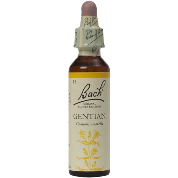 schwabe bach gentian 20 ml