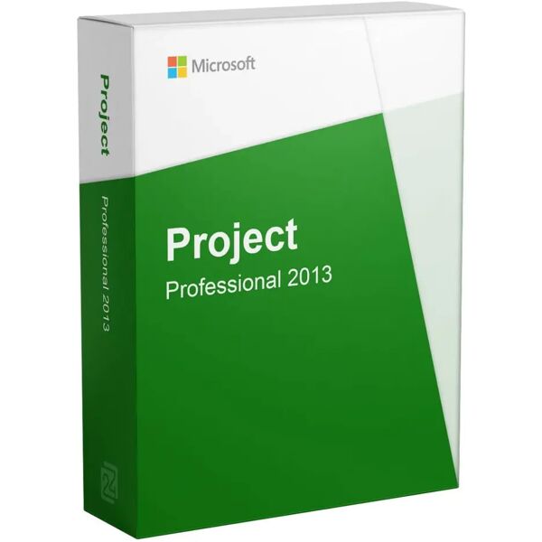 microsoft project 2013 professional