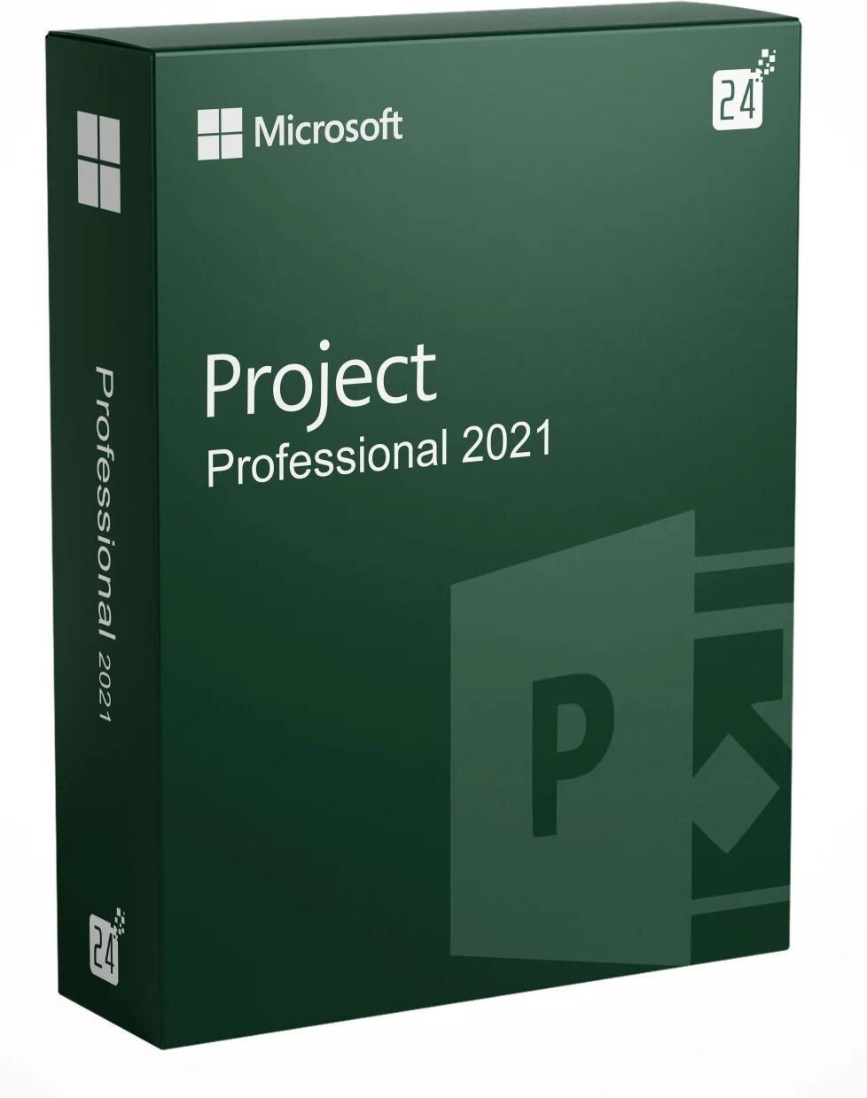 Microsoft Project 2021 Professional