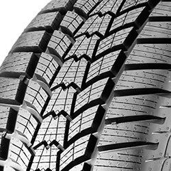 205/55 r17 95 v sava - eskimo hp2 pneumatici invernali