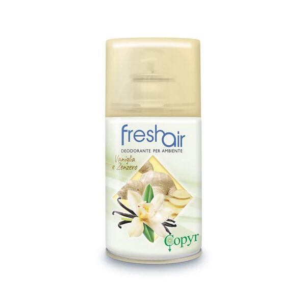 deodorante aerosol copyr fresh air passion vaniglia e zenzero 250ml x 24 pezzi