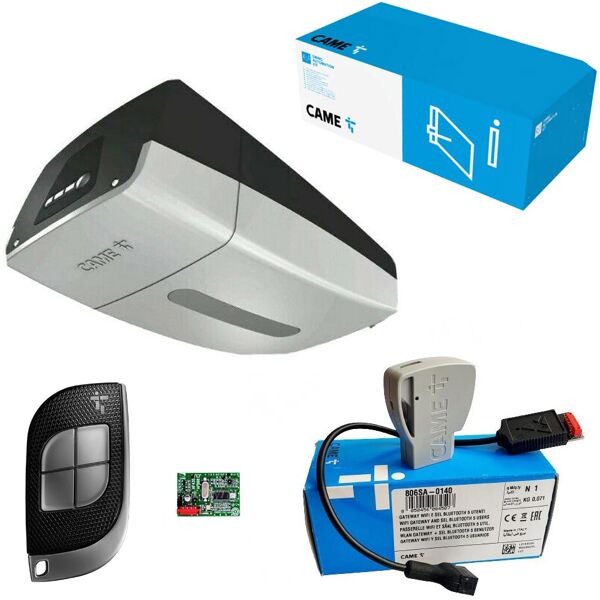 came kit automazione ver 13 plus  8k01mv-026 ver13dms porte garage sezionali basculanti