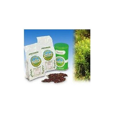 Specchiasol Liquirizia Composta Polvere Per Tisane 1 Kg Specchiasol Liquirizia Composta Polvere Per Tisane 1 Kg
