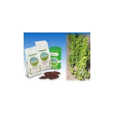 Specchiasol Menta Piperita Bio Foglie Taglio Tisana 1000 G Specchiasol Menta Piperita Bio Foglie Taglio Tisana 1000 G
