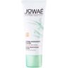 Jowaé Crema Idratante Colorata Dorata 30ml