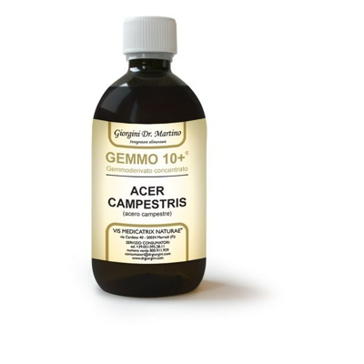 Dr. Giorgini Dr Giorgini Gemmo 10+ Acero Campestre Integratore Drenante 500ml Dr. Giorgini Dr Giorgini Gemmo 10+ Acero Campestre Integratore Drenante 500ml