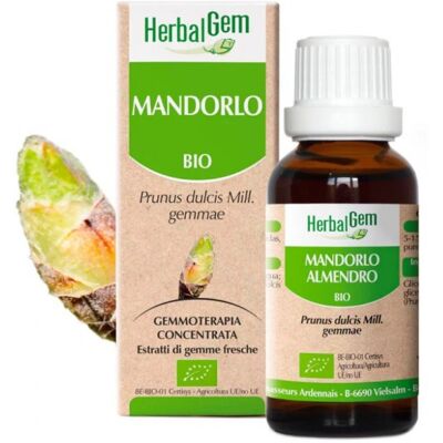Herbalgem Mandorlo Gemmoderivato Macerato Biologico 15 Ml Herbalgem Mandorlo Gemmoderivato Macerato Biologico 15 Ml