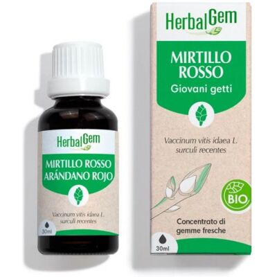 Herbalgem Marchio Mirtillo Rosso Giovani Getti Concentrato di Gemme - Integratore alimentare Herbalgem Marchio Mirtillo Rosso Giovani Getti Concentrato di Gemme - Integratore alimentare