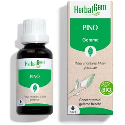 Herbalgem Pino Gemmoderivato Macerato Biologico 30 Ml Herbalgem Pino Gemmoderivato Macerato Biologico 30 Ml
