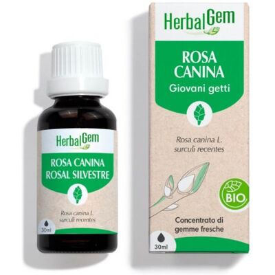 Herbalgem - Rosa Canina Giovani Getti - Rosa Canina Herbalgem - Rosa Canina Giovani Getti - Rosa Canina