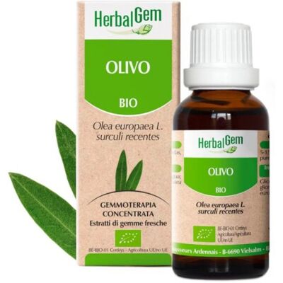 Herbalgem Olivo Gemmoderivato Macerato Biologico 50 Ml Herbalgem Olivo Gemmoderivato Macerato Biologico 50 Ml