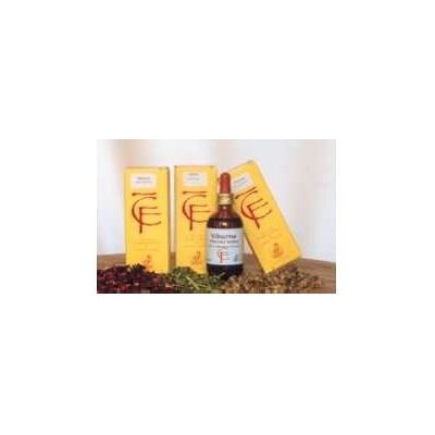 Cento Fiori Ippocastano Gemme Mg Circolazione Venosa 50ml Cento Fiori Ippocastano Gemme Mg Circolazione Venosa 50ml