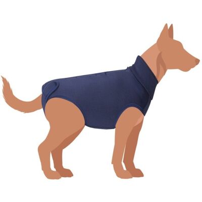 Camon Cane Tutina Post Operatoria "Exclusive" Tg. 40 Blu Protezione Cute Camon Cane Tutina Post Operatoria "Exclusive" Tg. 40 Blu Protezione Cute