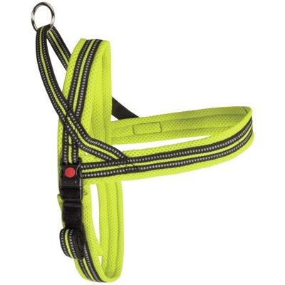 Imbracatura per Cani Camon Dynamic Plus - Traspirante, Riflettente, Regolabile Imbracatura per Cani Camon Dynamic Plus - Traspirante, Riflettente, Regolabile