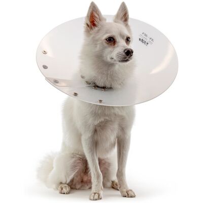 Kvp Collare Elisabettiano Saf-T-Shield 27-36 Cm Collare Protettivo Regolabile Kvp Collare Elisabettiano Saf-T-Shield 27-36 Cm Collare Protettivo Regolabile