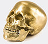 seletti 'wunderkrammer skull', gold