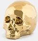 Seletti 'my Skull', Gold