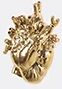 Seletti 'love In Bloom' Vase, Gold