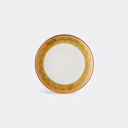 rosenthal 'medusa amplified' plate, golden coin