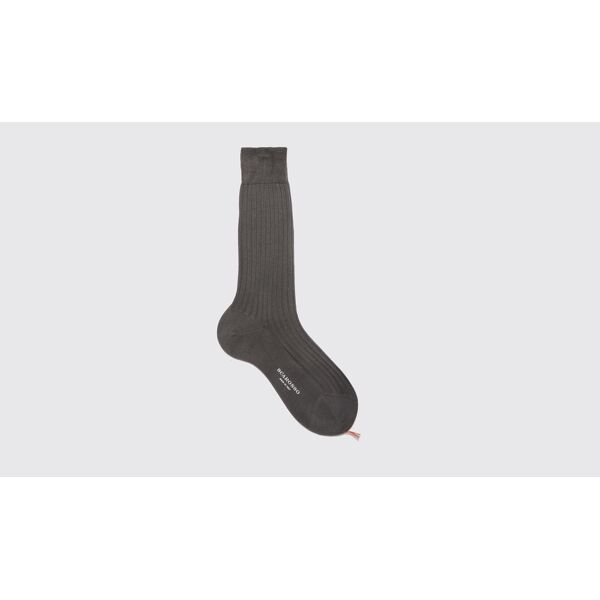 scarosso grey cotton calf socks - uomo calze grigio - cotone 40-41