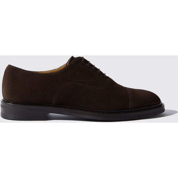 scarosso jacob brown suede - uomo scarpe oxford marrone - camoscio 45