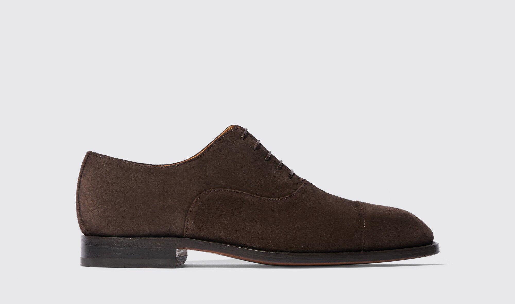 Scarosso Salvatore Brown Suede - Uomo Scarpe Oxford Brown - Suede 39