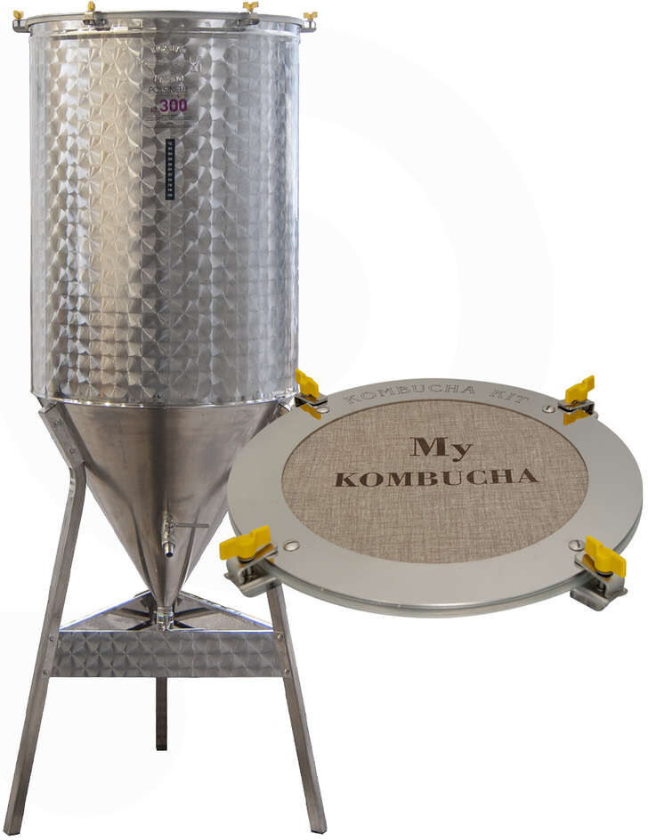 Polsinelli Fermentatore inox Conico 60° per Kombucha 300 L