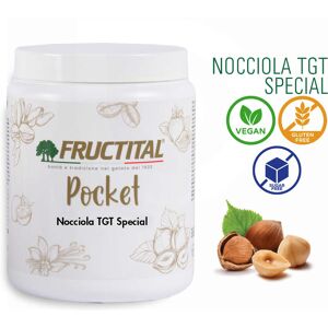 Polsinelli Pasta aromatizzante Nocciola TGT Special (1 Kg)