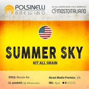 Polsinelli Kit all grain Summer Sky per 55 L - Blonde Ale