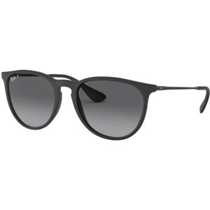 Ray-Ban Erika RB 4171 (622/T3)