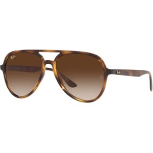 Ray-Ban RB 4376 (710/13)