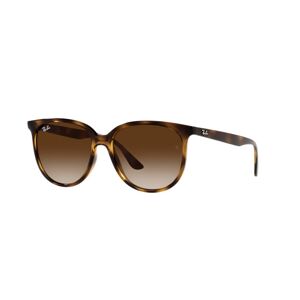 Ray-Ban RB 4378 (710/13)