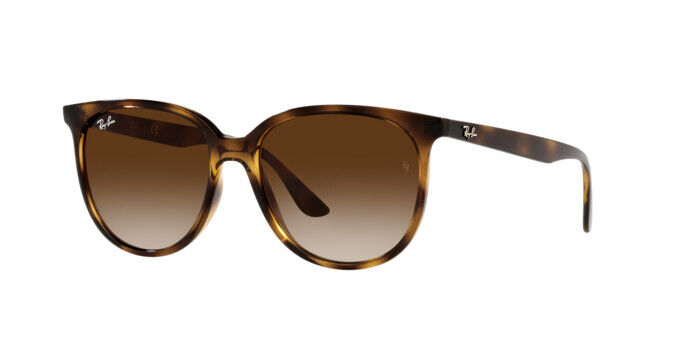 Ray-Ban RB 4378 (710/13)