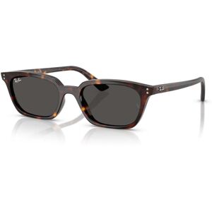 Ray-Ban Zaya RB 4456 (135987) Ray-Ban Zaya RB 4456 (135987)