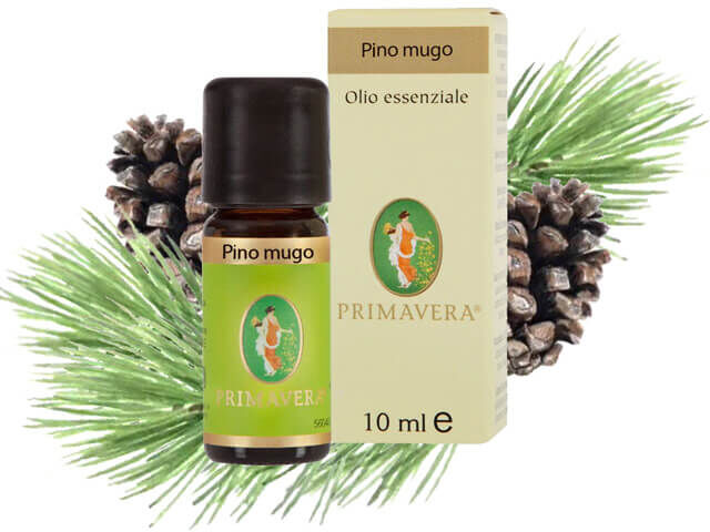 Flora Pino mugo - olio essenziale - bio - 10ml