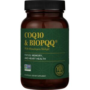 Global Healing CoQ10 & bioPQQ con shilajit - 60 caps