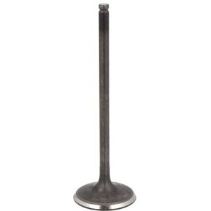 Valvola FRECCIA R6555/SNT - Acciaio al cromo-silicio - 45° - 35mm - 109mm - Valvola Valvola FRECCIA R6555/SNT - Acciaio al cromo-silicio - 45° - 35mm - 109mm - Valvola