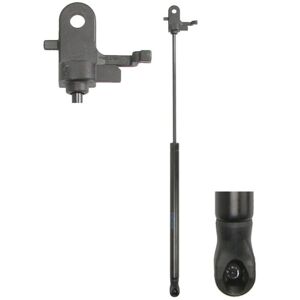 Gasfreno Stabilus per Toyota Camry VIII - Ammortizzatore, Sollevatore Bagagliaio Gasfreno Stabilus per Toyota Camry VIII - Ammortizzatore, Sollevatore Bagagliaio