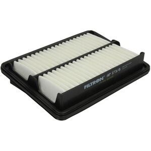 Filtron Filtro dell'aria AP 173/8 - Filtro dell'aria Filtron Filtro dell'aria AP 173/8 - Filtro dell'aria