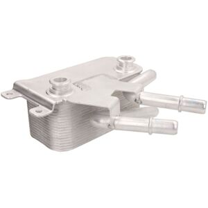 THERMOTEC D4B014TT - Radiatore dell'olio THERMOTEC D4B014TT - Radiatore dell'olio